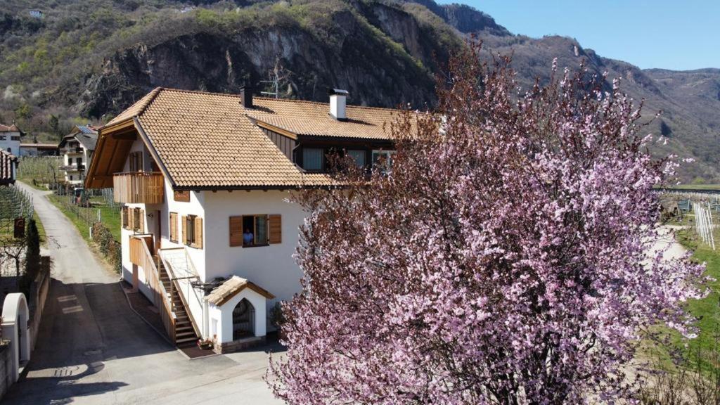 Versigglhof Appiano Sulla Strada Del Vino Luaran gambar