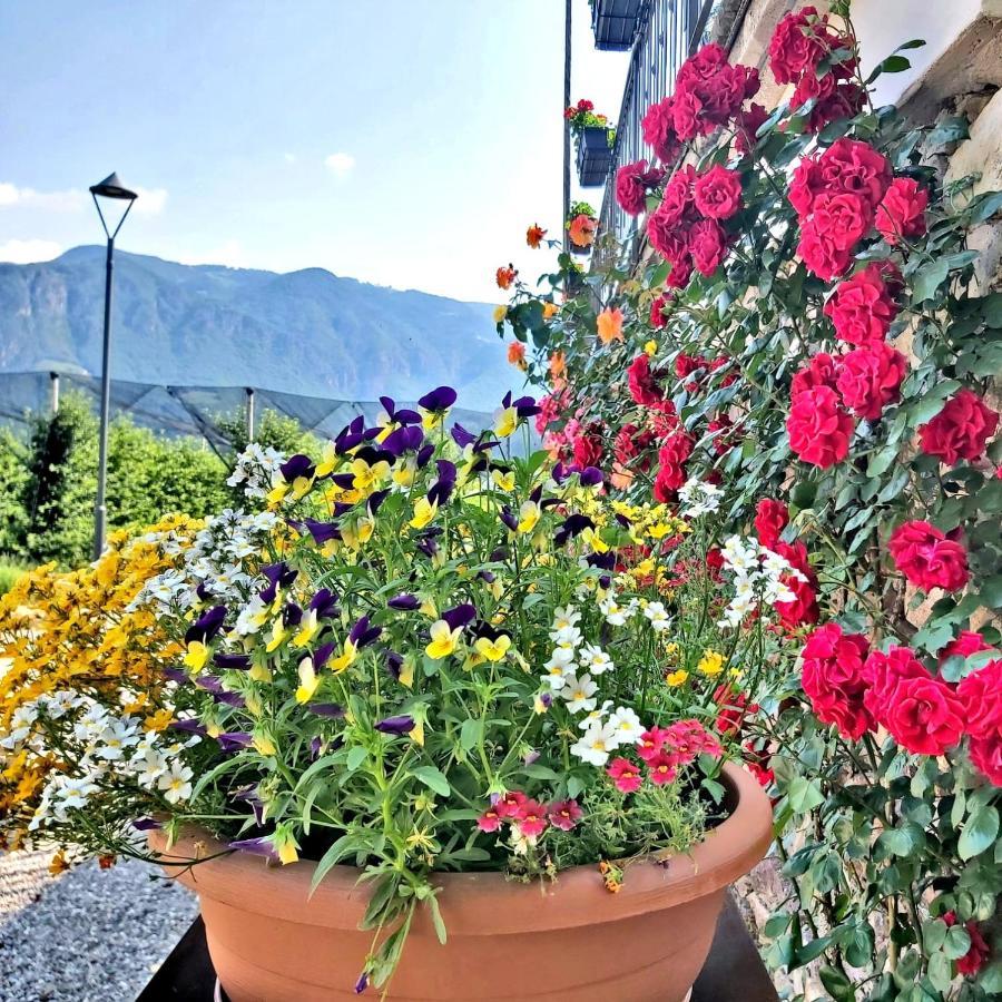 Versigglhof Appiano Sulla Strada Del Vino Luaran gambar