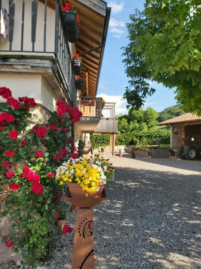Versigglhof Appiano Sulla Strada Del Vino Luaran gambar