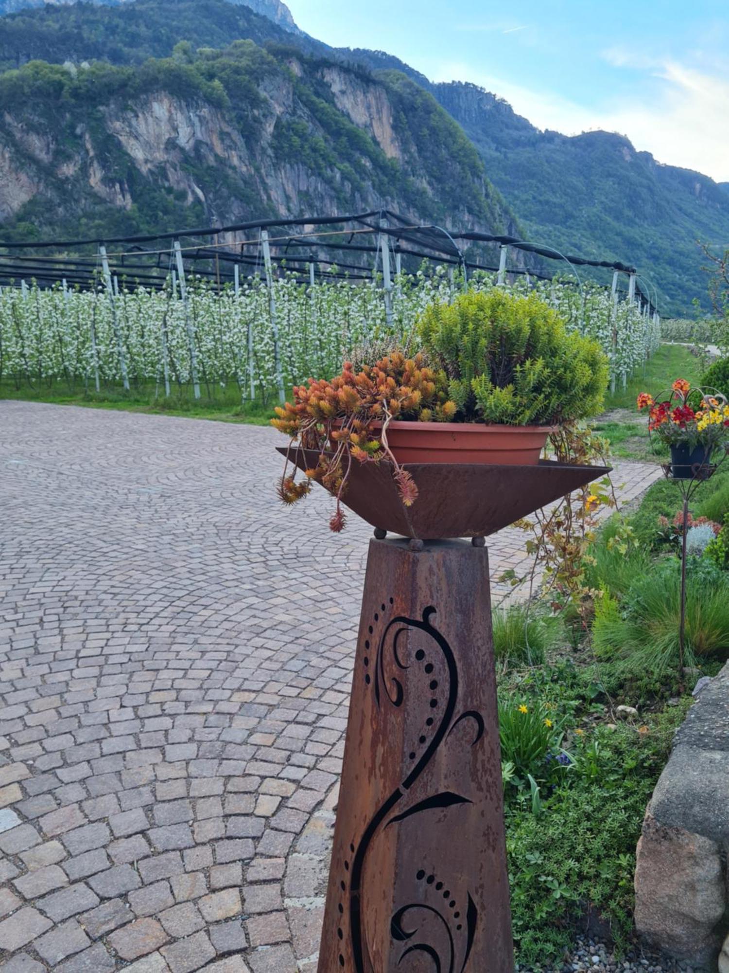 Versigglhof Appiano Sulla Strada Del Vino Luaran gambar