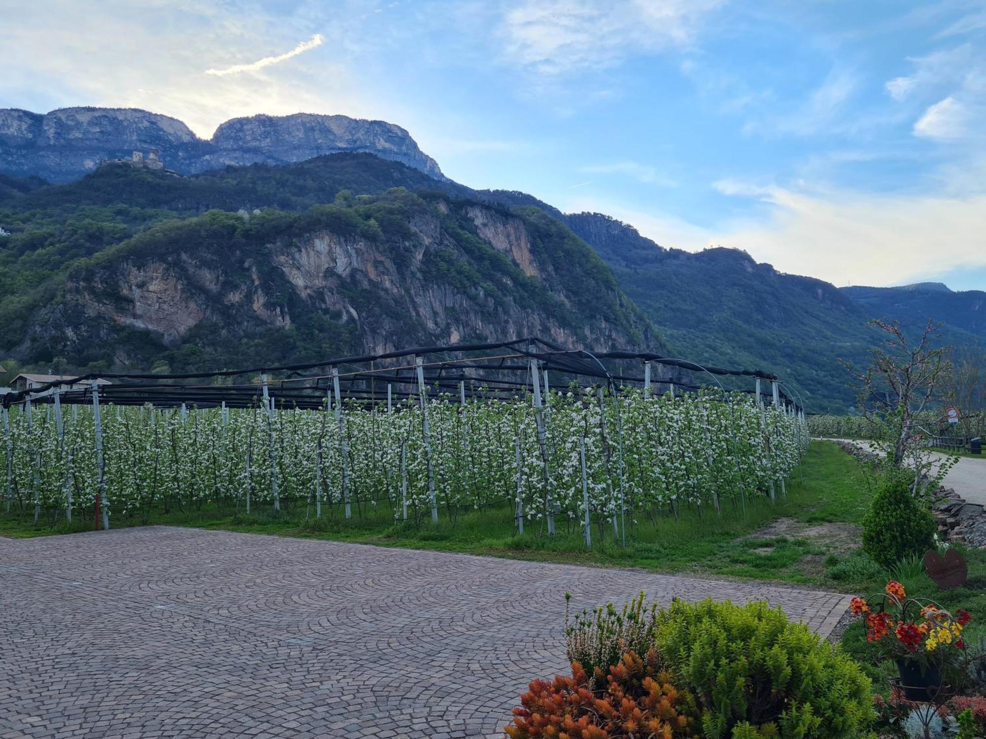 Versigglhof Appiano Sulla Strada Del Vino Luaran gambar