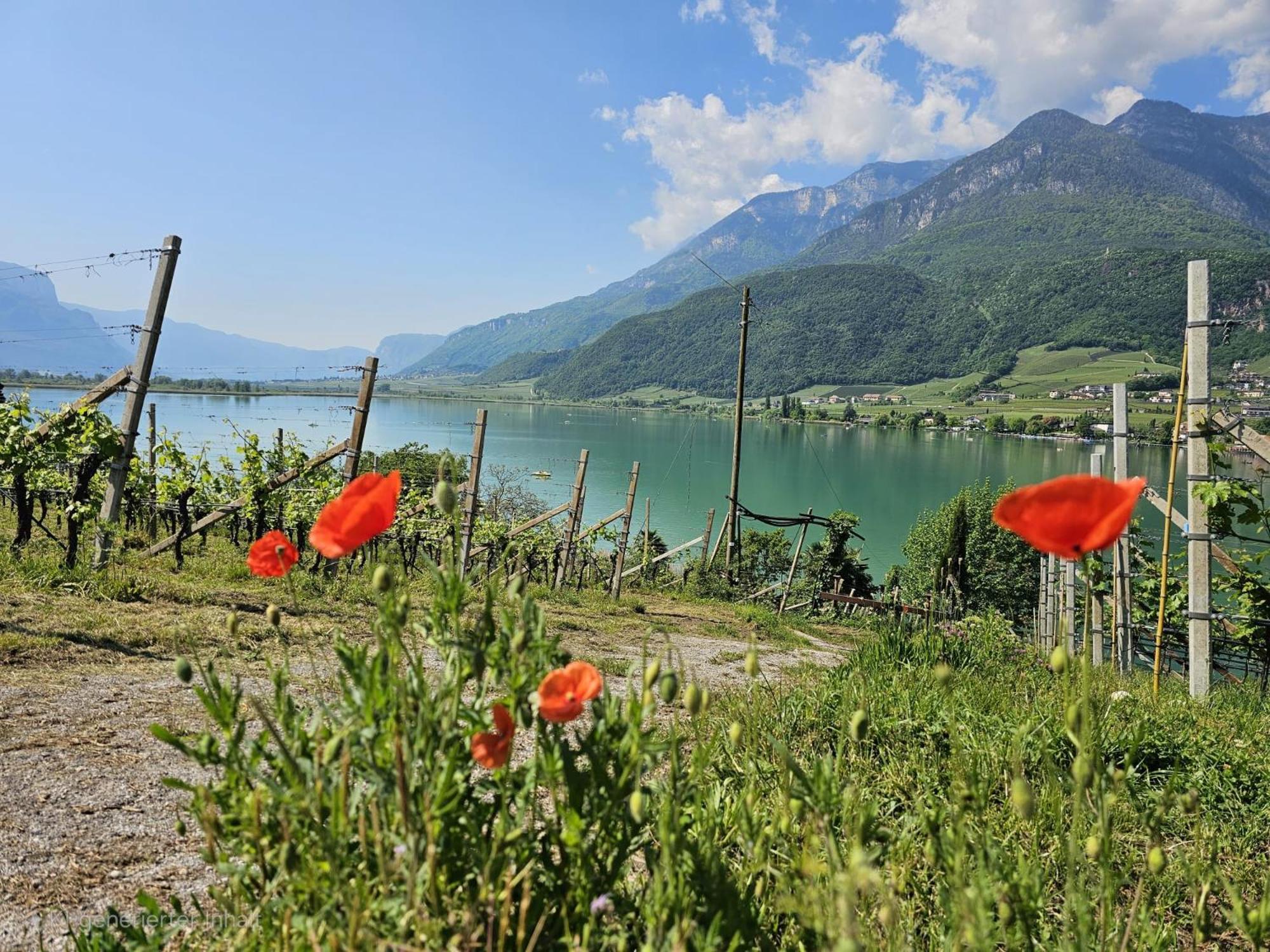 Versigglhof Appiano Sulla Strada Del Vino Luaran gambar